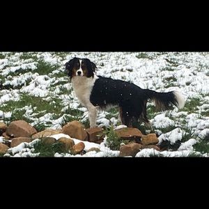 Meet your Posher, Angela